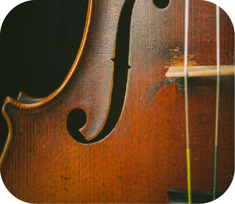 Strings Instrument